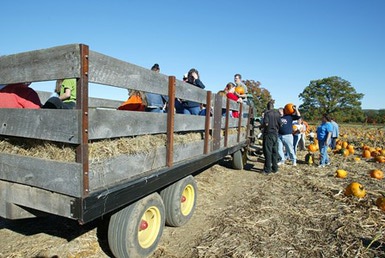 hayride