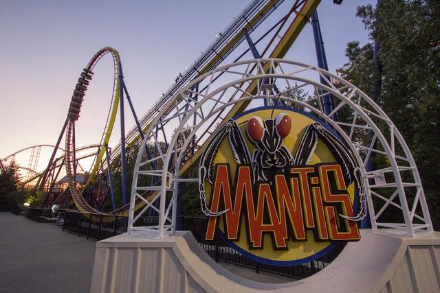 mantis_1409674635820_7696950_ver1.0_640_480