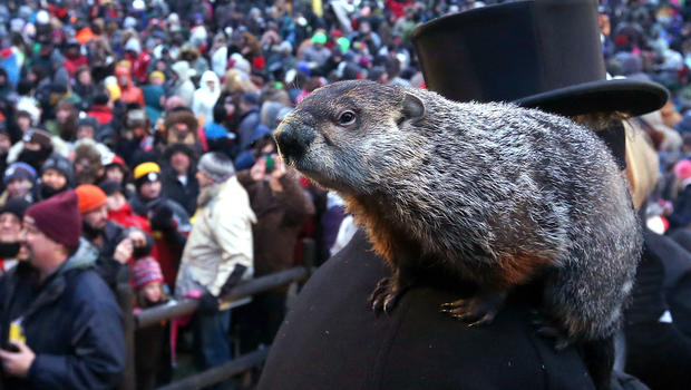 groundhog-phil-160524007