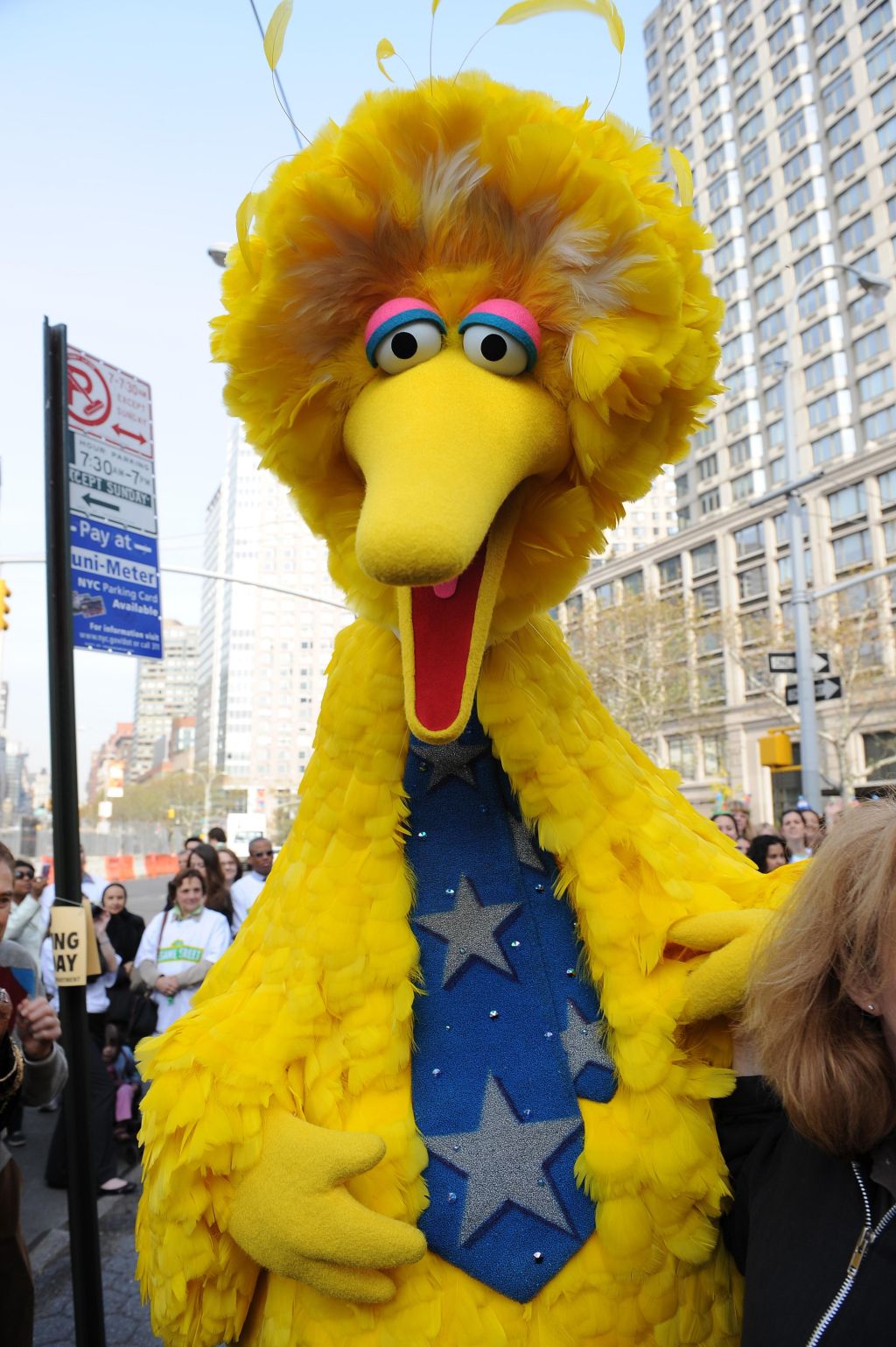 Sesame Street's Big Bird charactor Novem