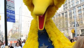 Sesame Street's Big Bird charactor Novem
