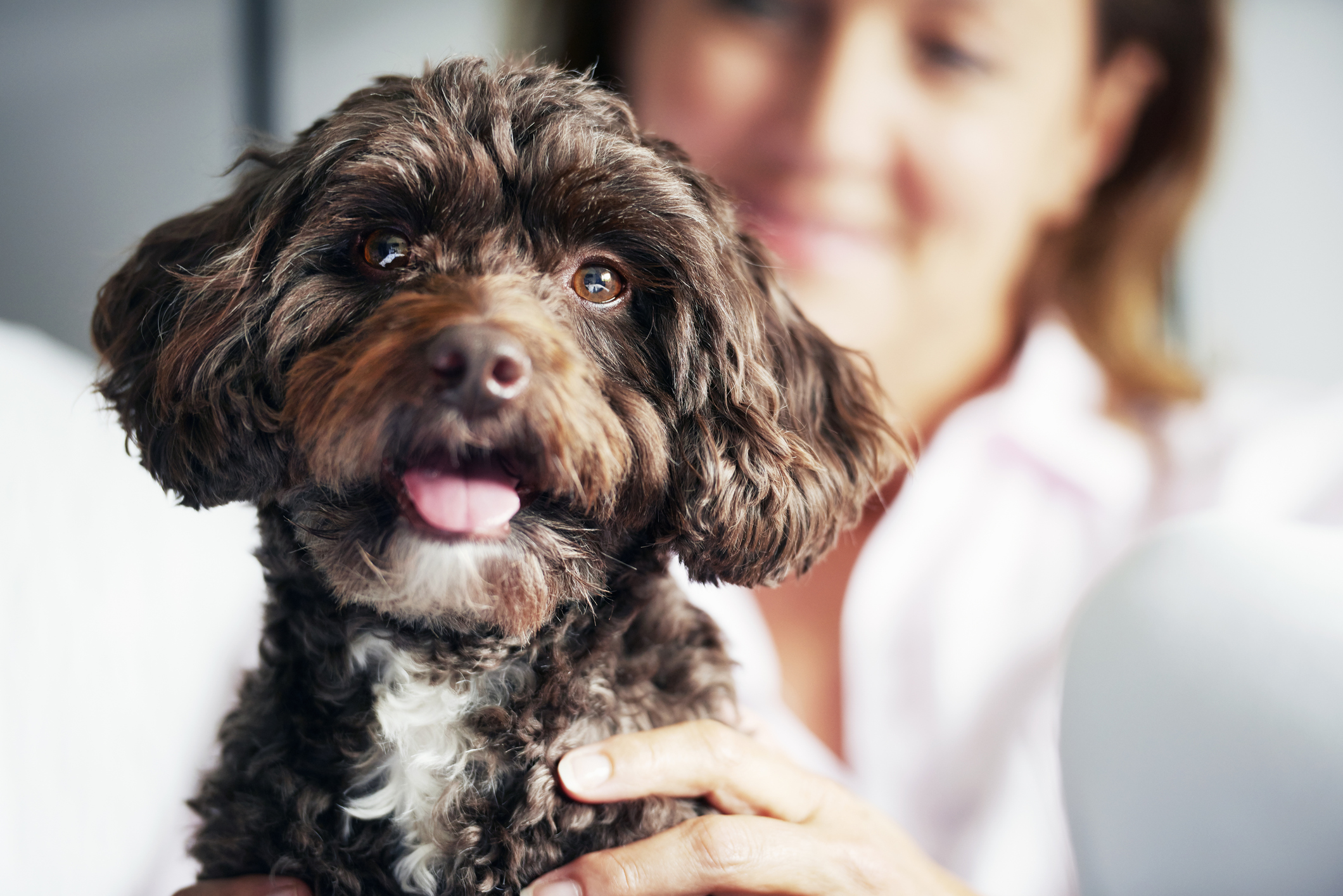 dog and older woman