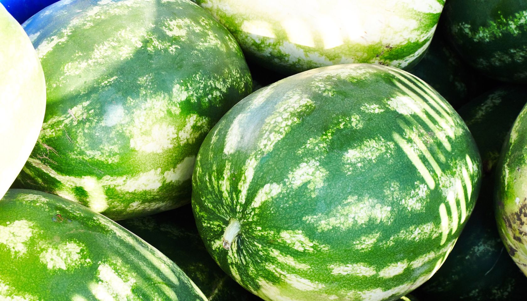 Close-Up Of Watermelons For Sale At Market