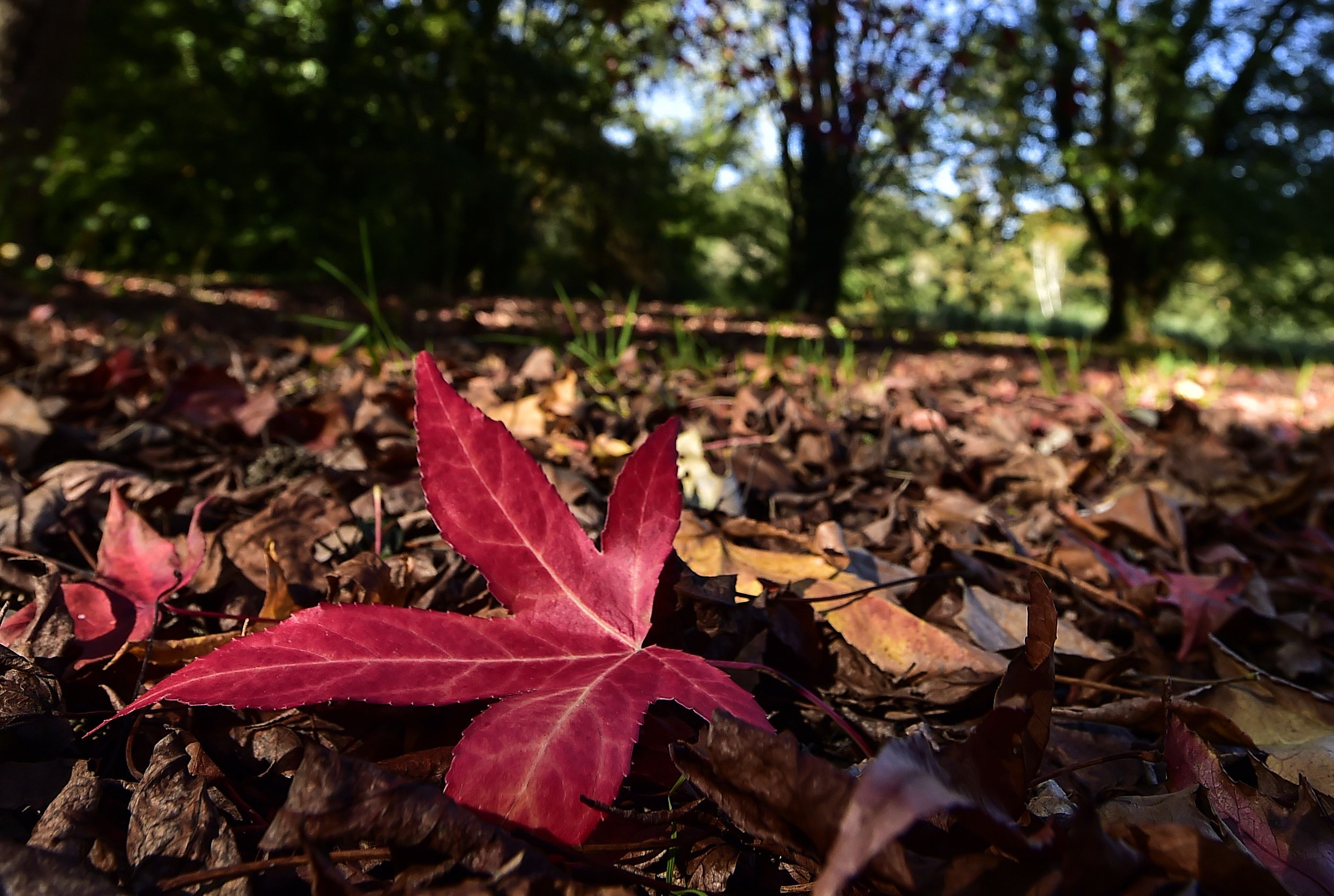 FRANCE-NATURE-AUTUMN-WEATHER