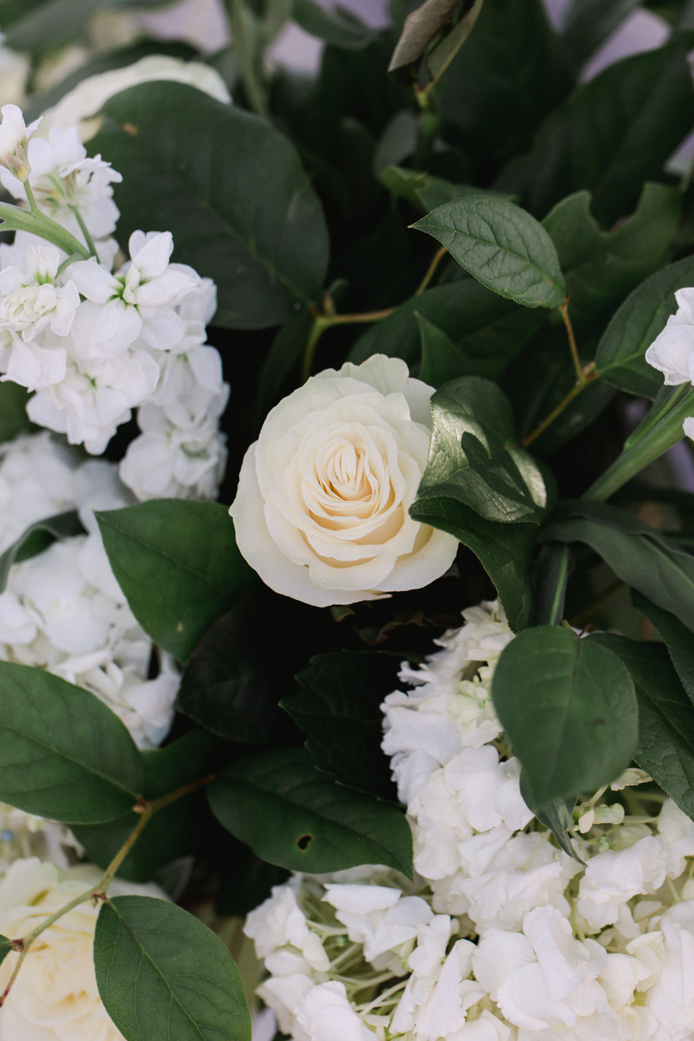Garden Wedding Details of White Roses and green leaves close up