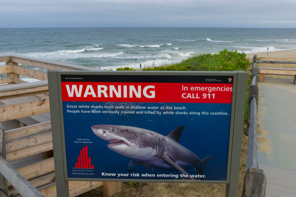 Shark warning sign