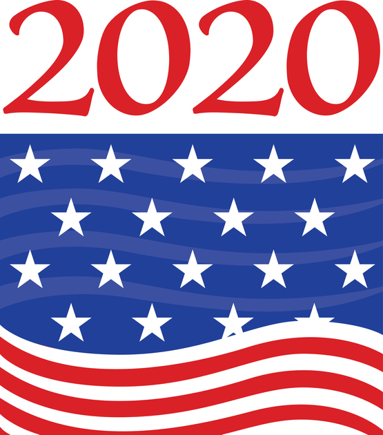 Election 2020 Flag Banner