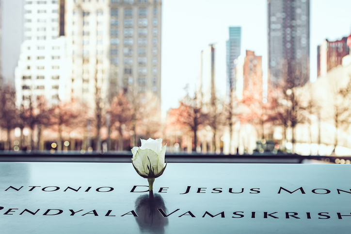 White rose in September 11 Memorial