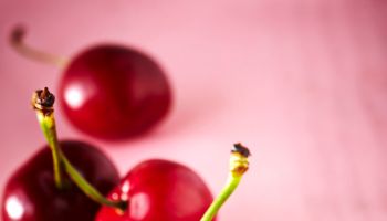 Close-up of Cherry Dipped in Chocolate on Pink Background with un-dipped Cherries in the Background, Studio Shot