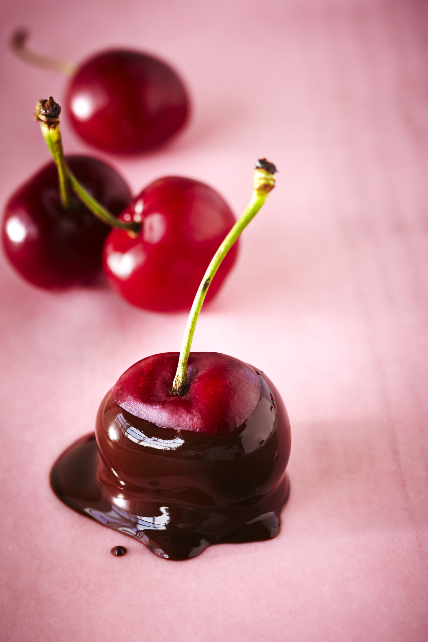 Close-up of Cherry Dipped in Chocolate on Pink Background with un-dipped Cherries in the Background, Studio Shot
