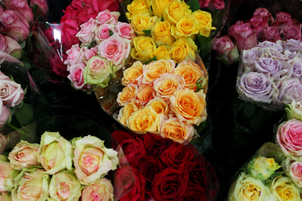 Valentines Day In Sydney