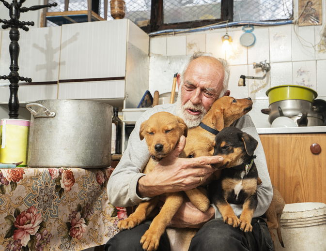 Dog shelter