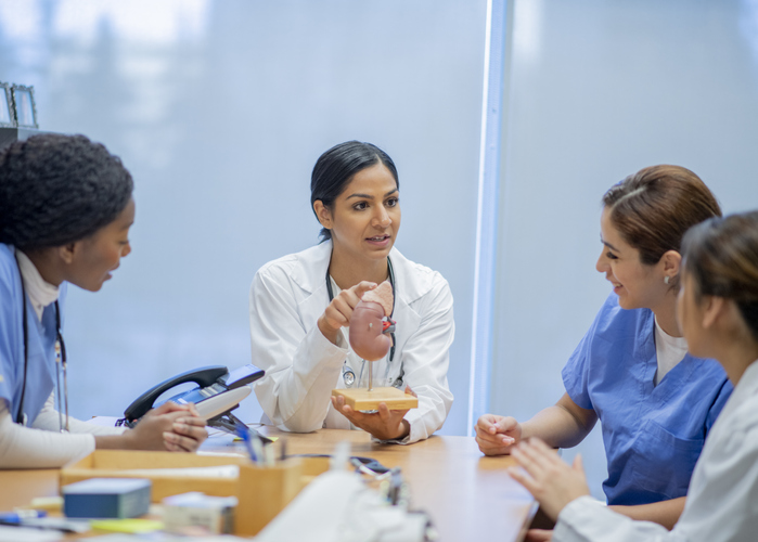 Doctor Teaching Students About the Kidney stock photo